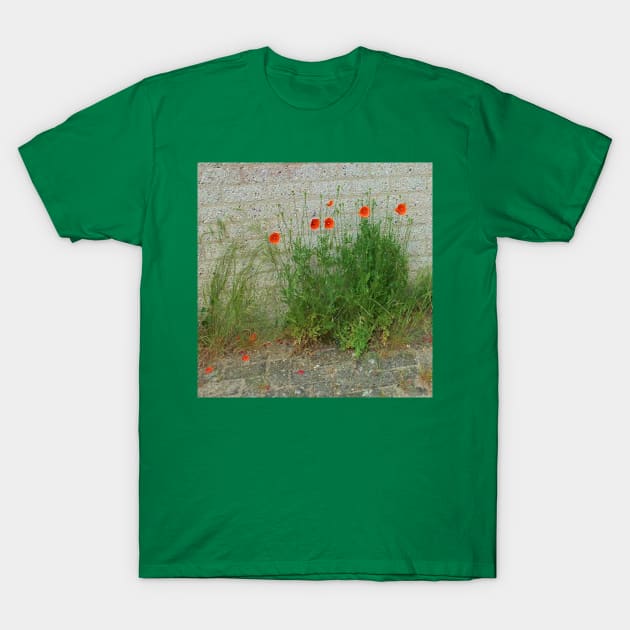 poppy T-Shirt by robelf